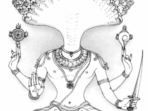 Beat the Virus with Yam and&nbsp;Niyam